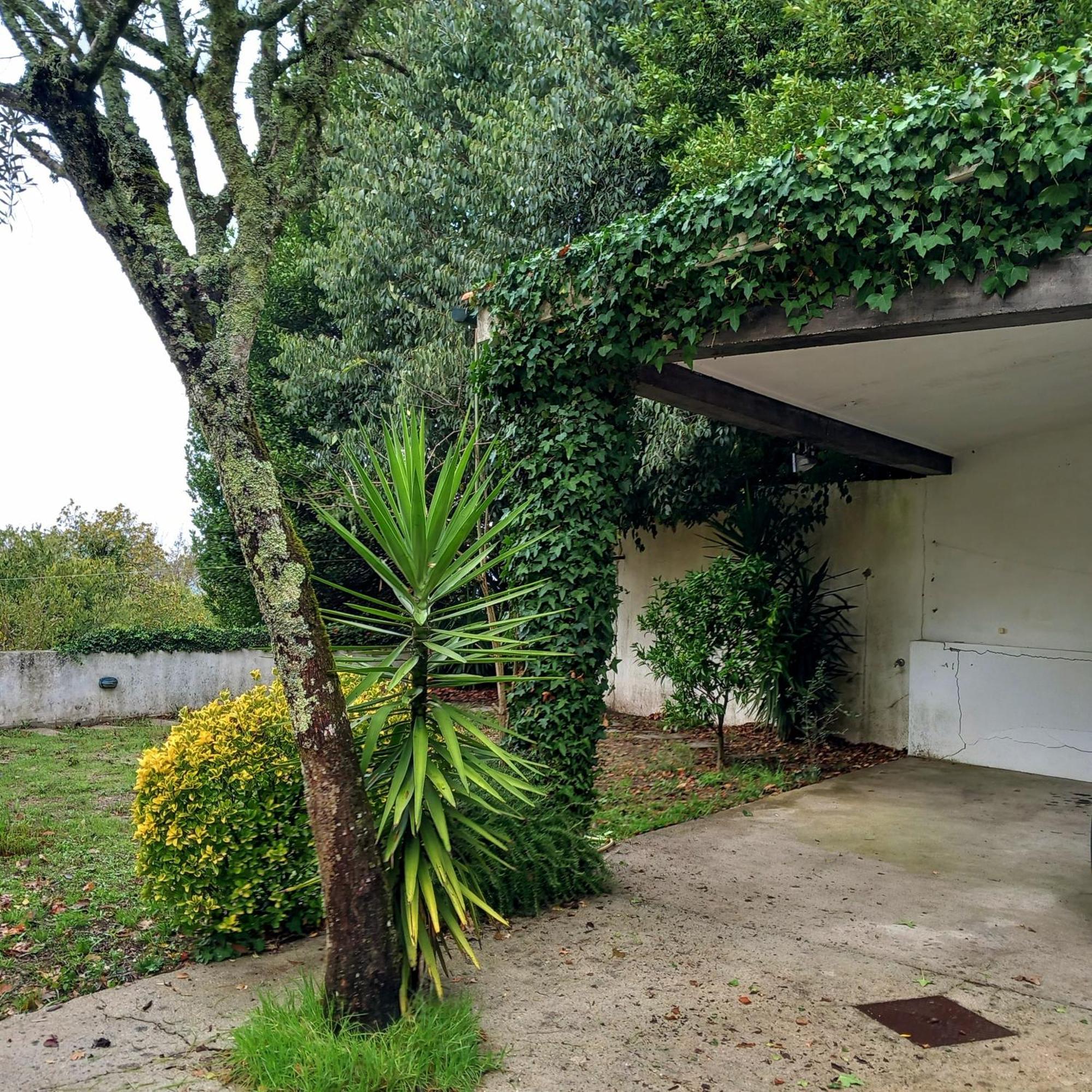 Willa Casa Amarante Porto Zewnętrze zdjęcie